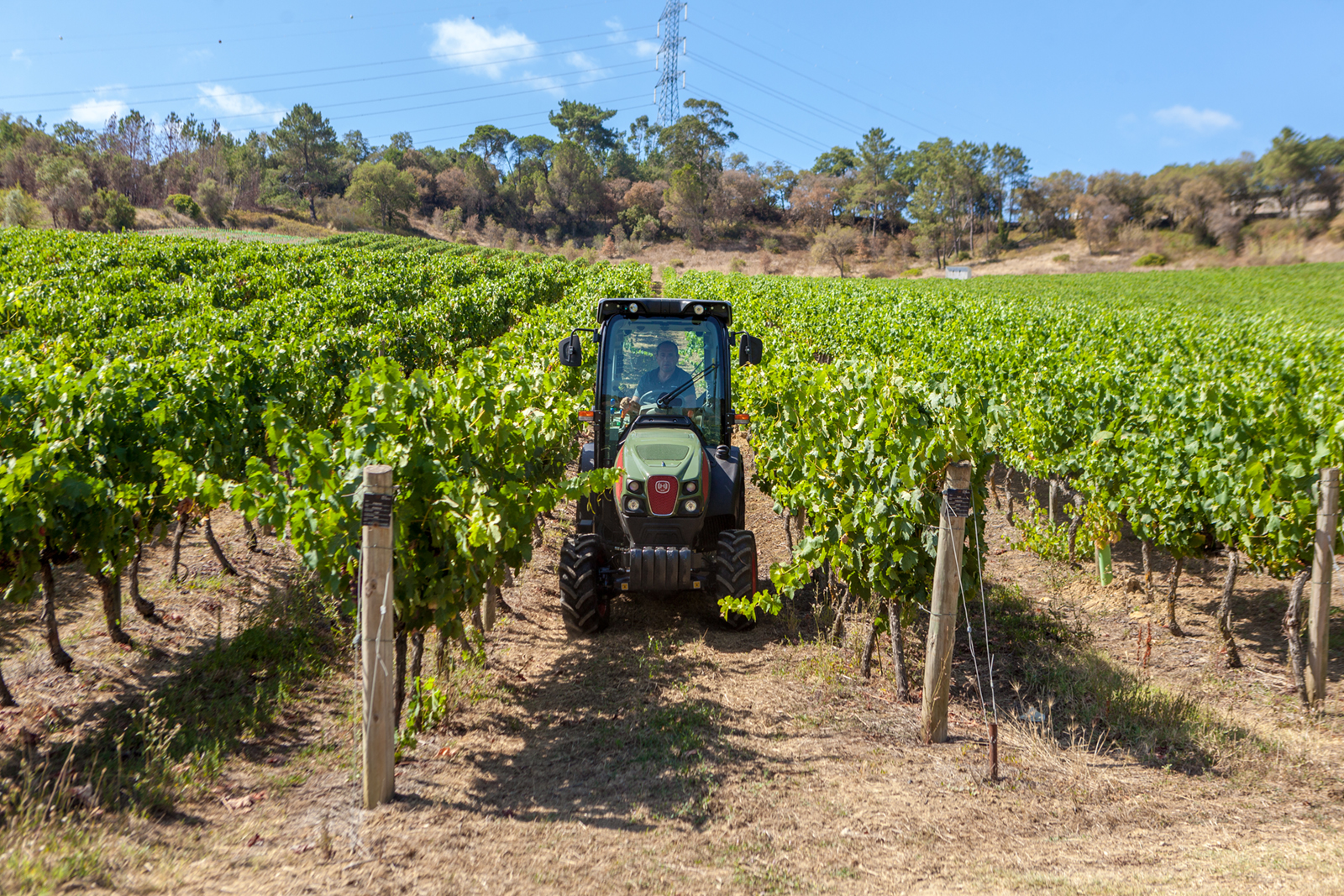 Séries XF-XS Tradition